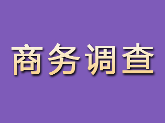 鄂城商务调查